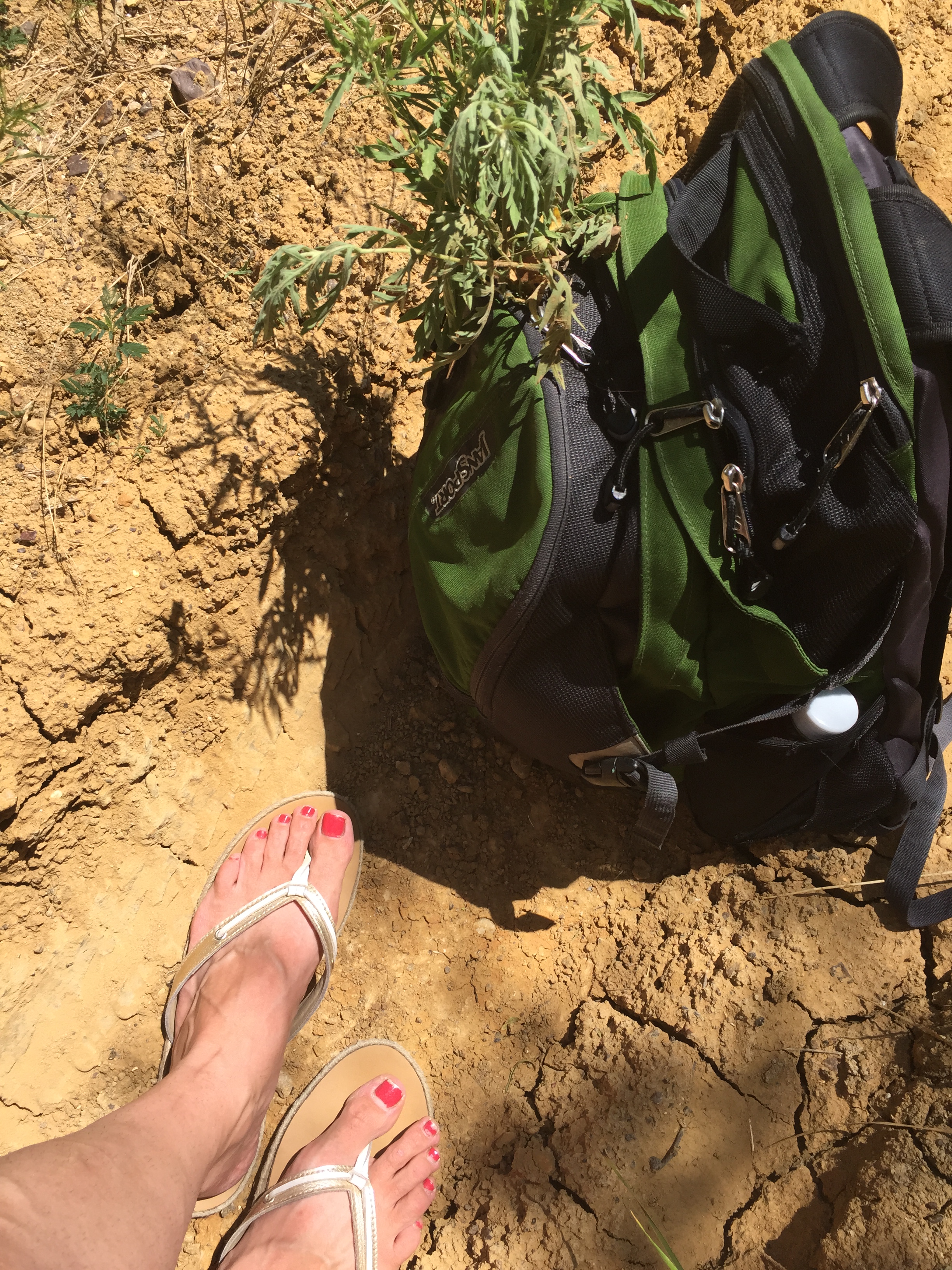 Hilton DFW Lakes Hotel