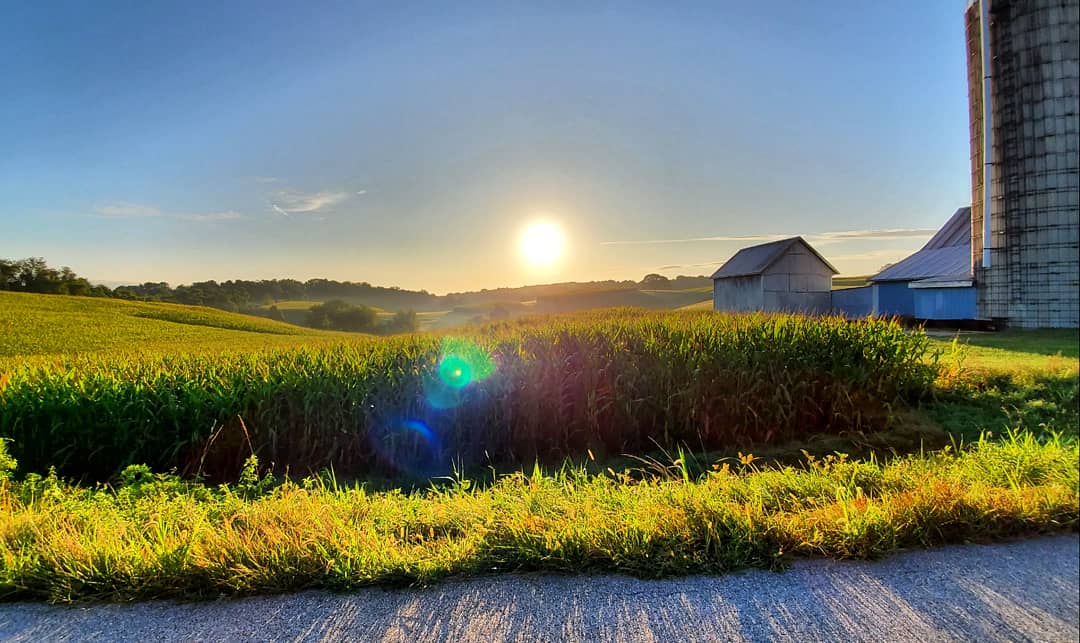 Everyday is a good day…