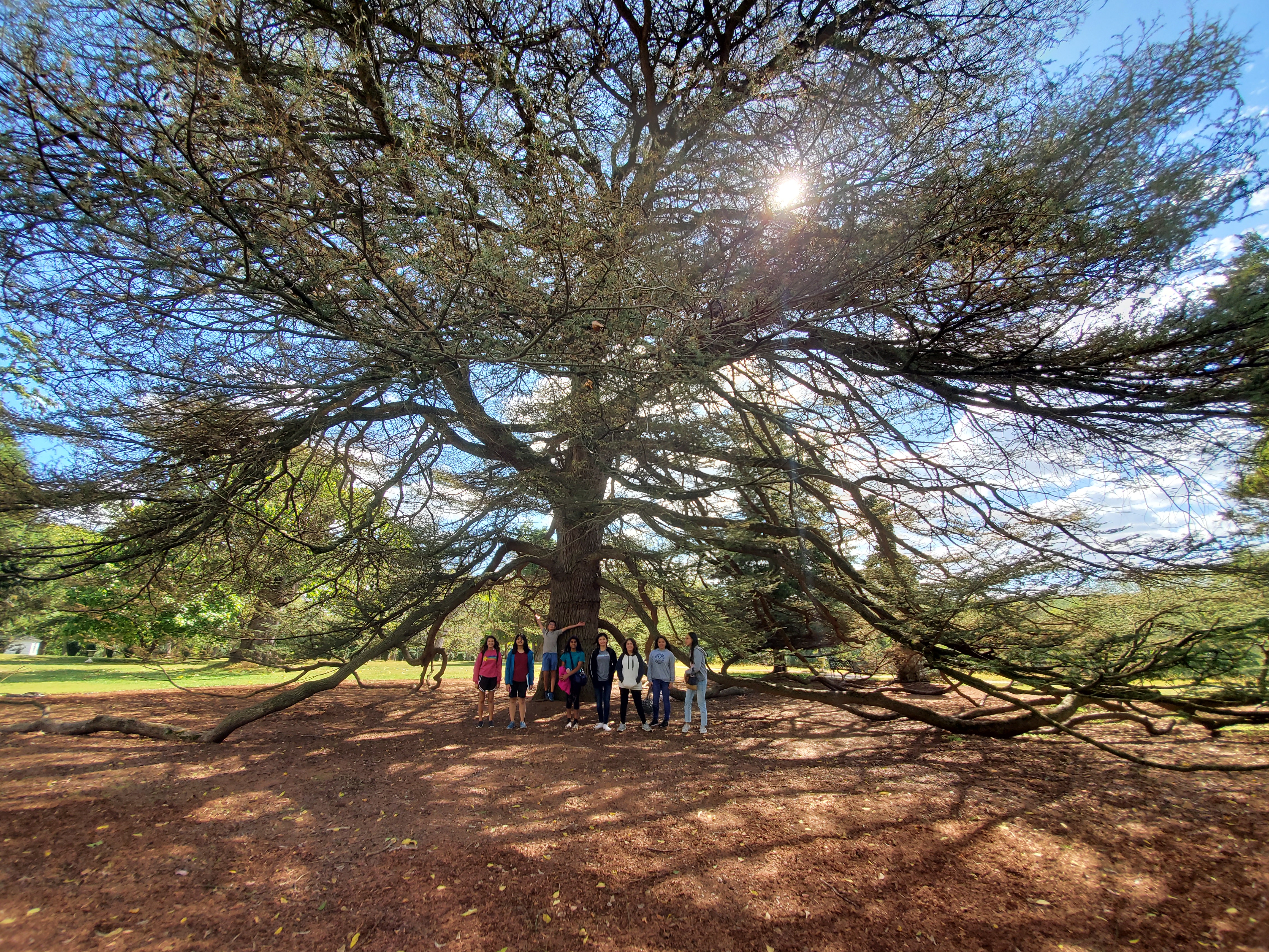 Hampton Art Experience