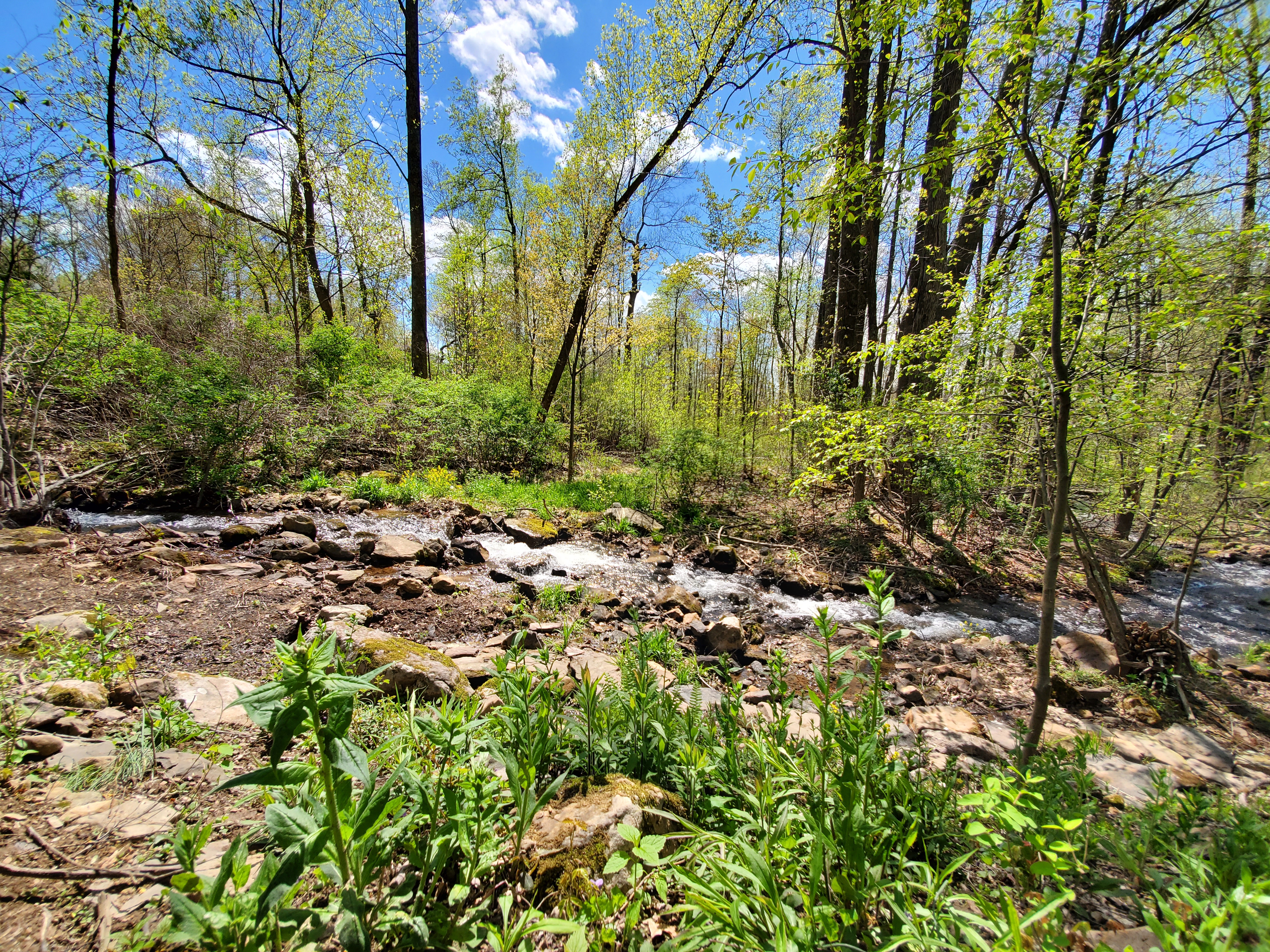 The Magick of the Flowing Hollow