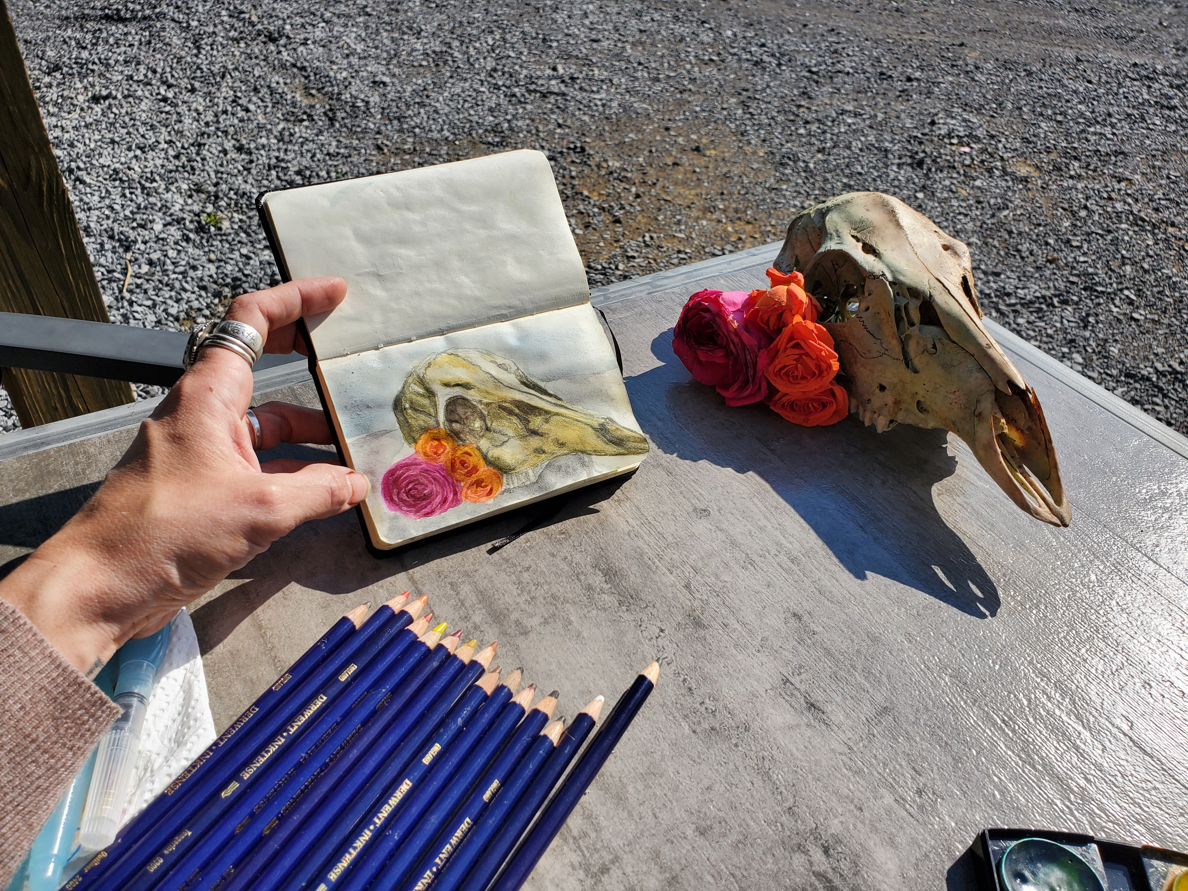 Quarantine Art Series: Deer Medicine