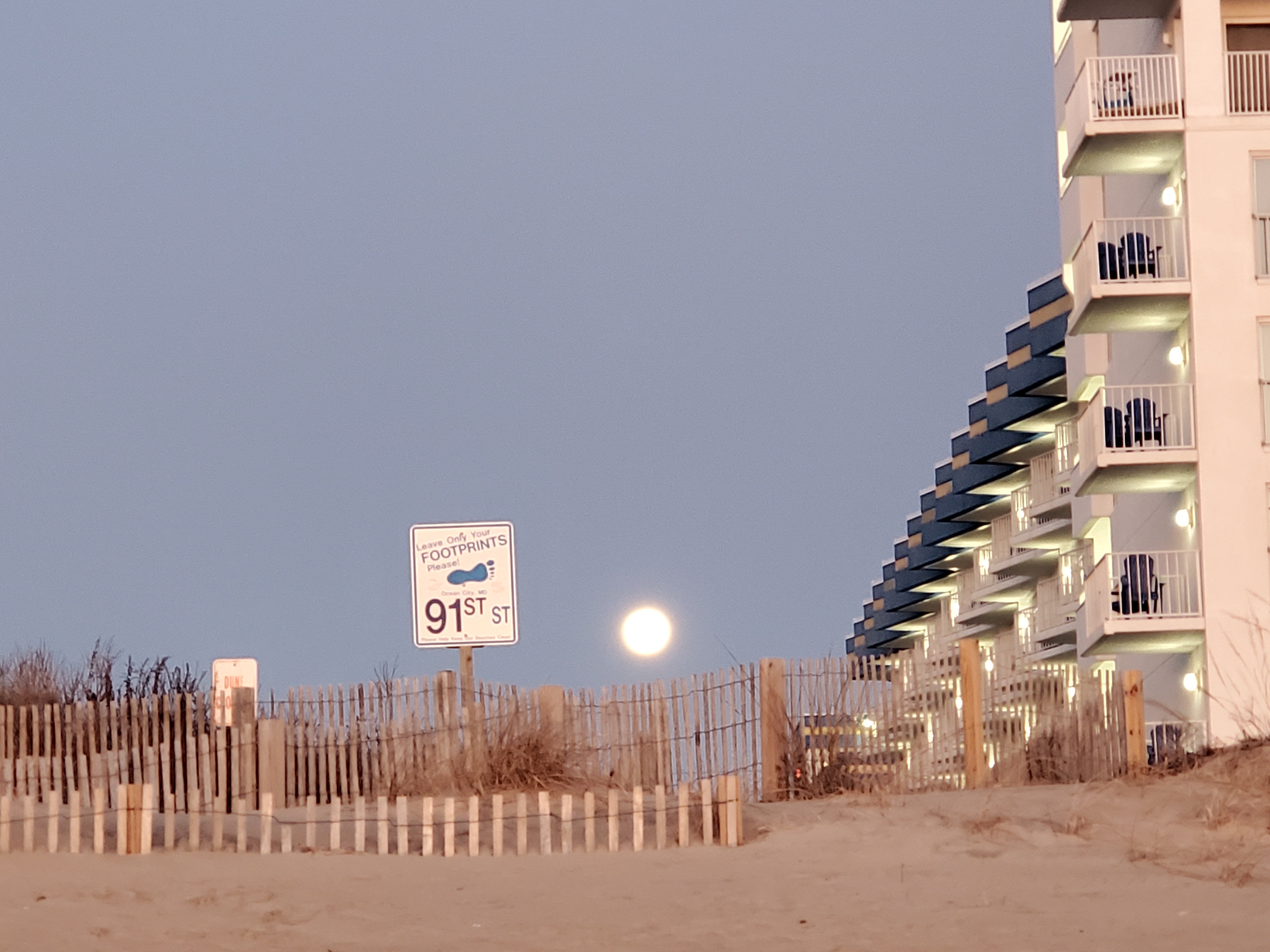 MAEOE 2020: The Shore