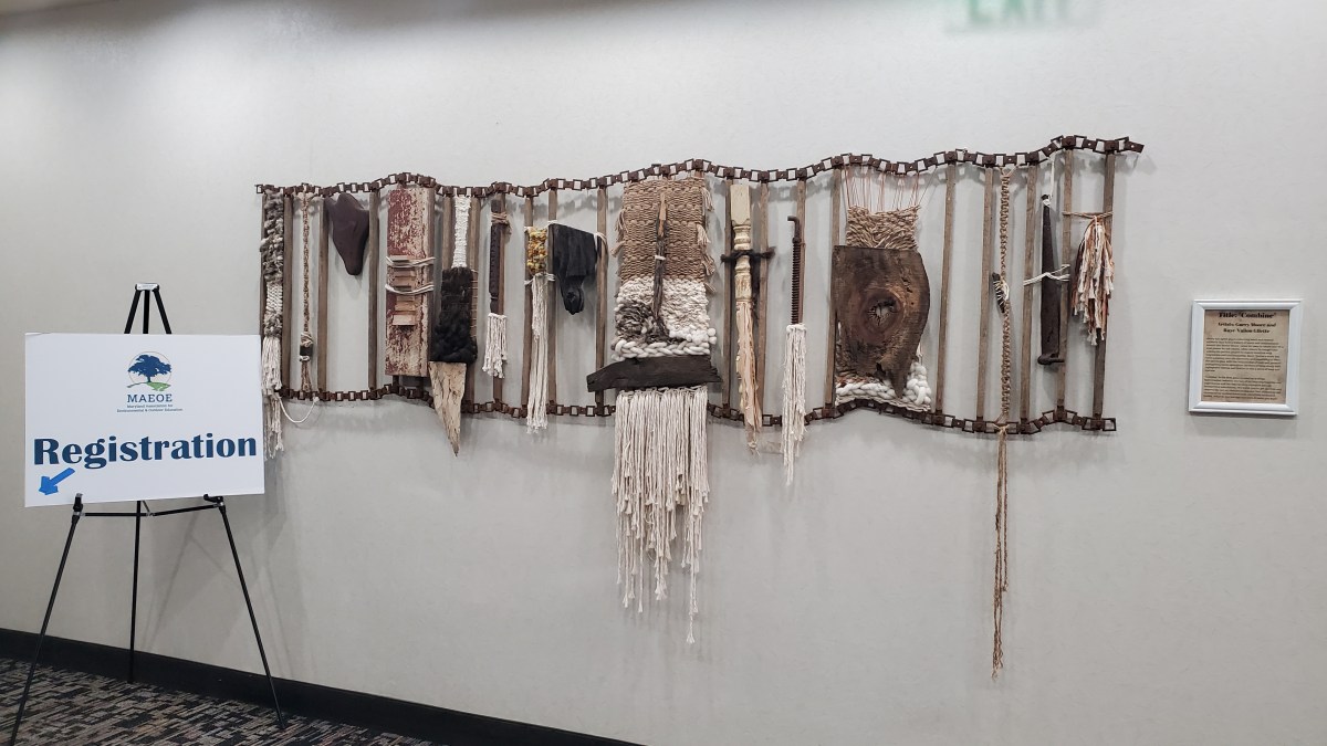 MAEOE – Be Green, Learn Green, Live Green